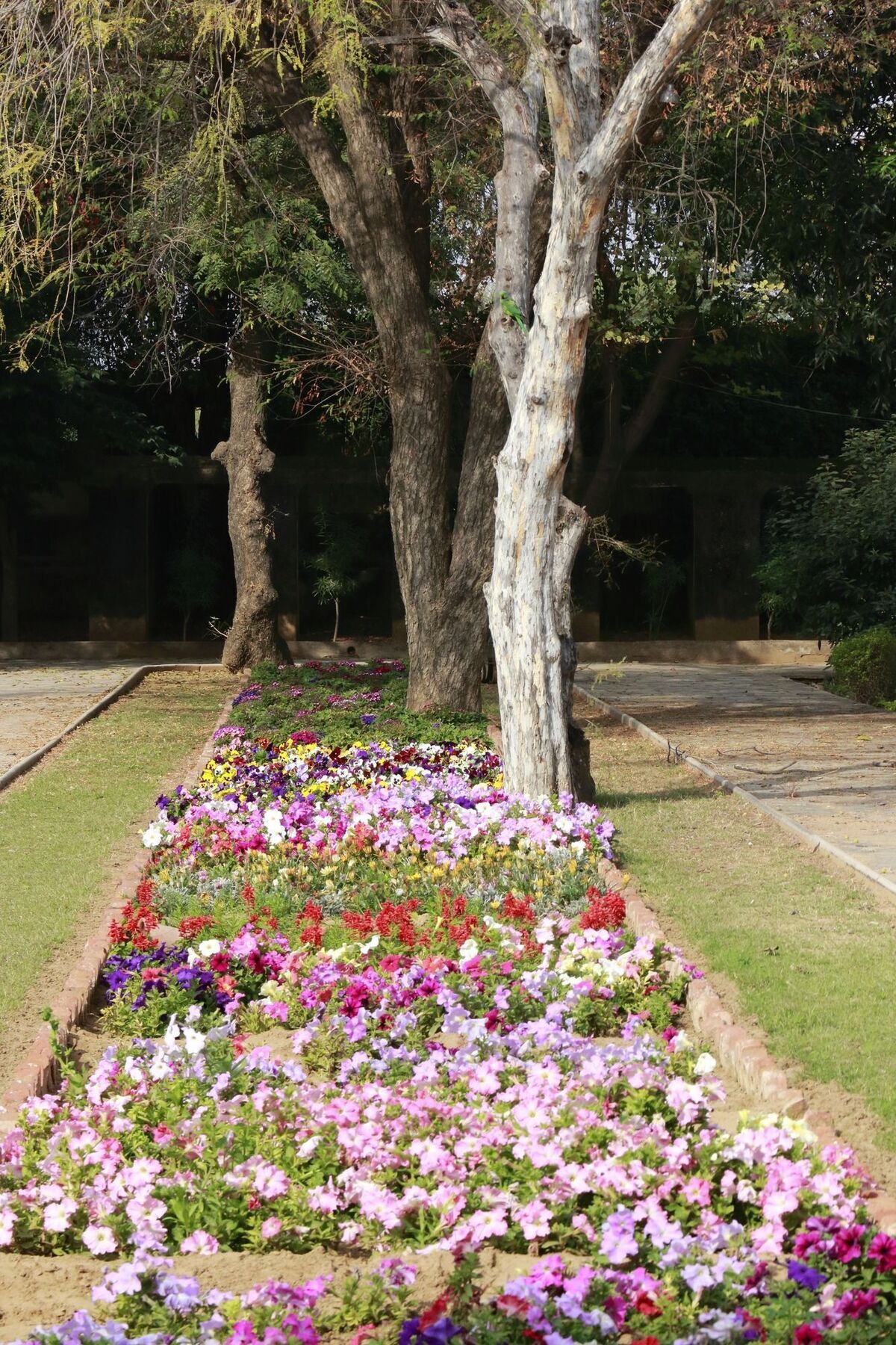 Samode Bagh Hotel Bagian luar foto
